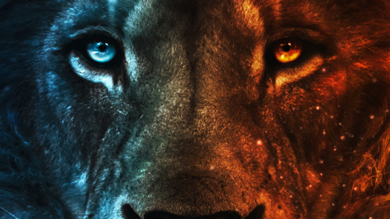 Leones, Felidae, Carnívoro, Grandes Felinos, Los Animales Terrestres. Wallpaper in 1366x768 Resolution