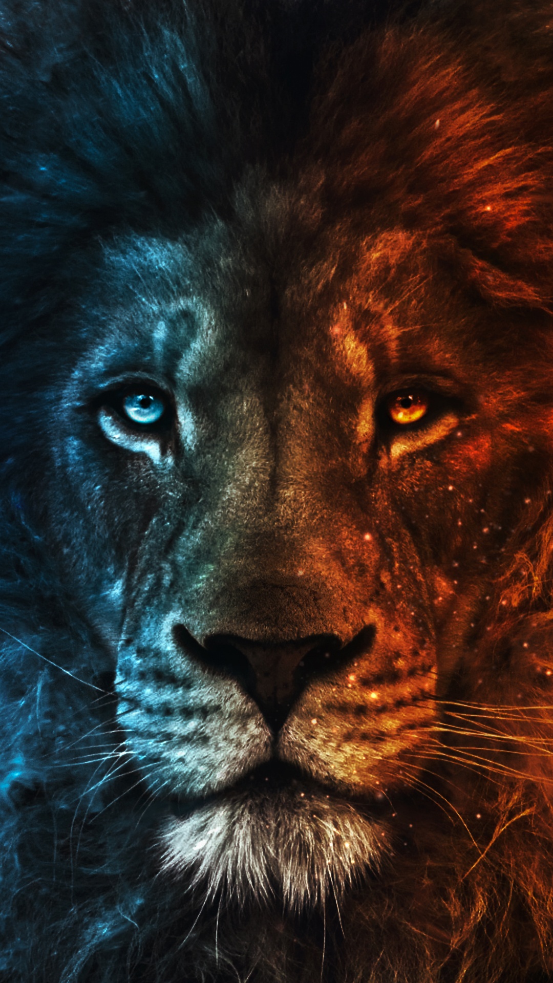 Lion, Felidae, Carnivore, Big Cats, Whiskers. Wallpaper in 1080x1920 Resolution