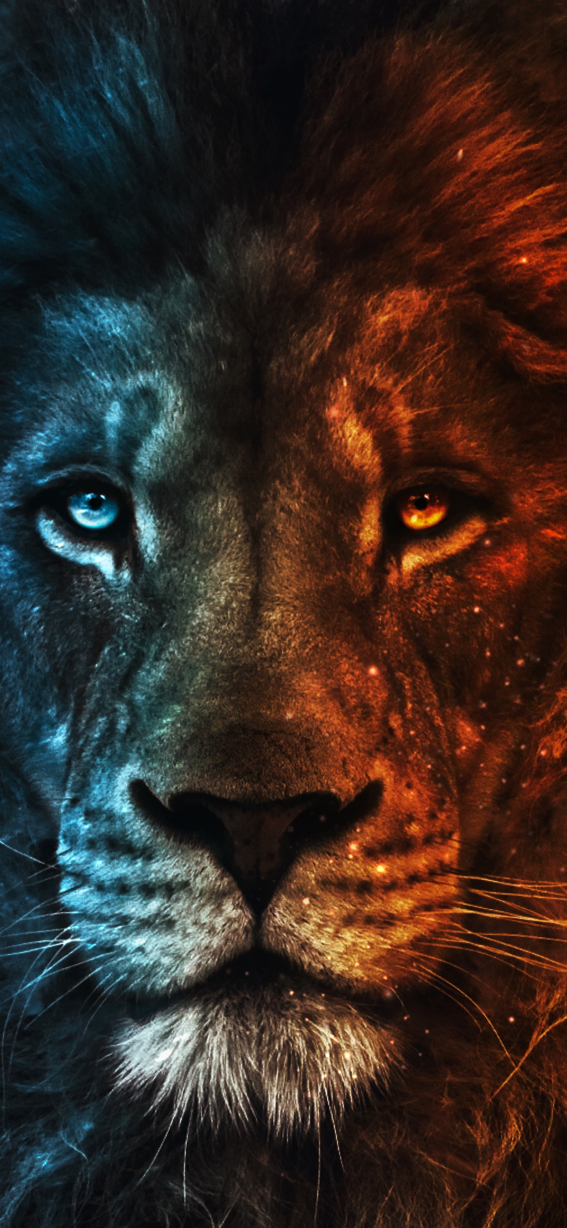 Lion, Felidae, Carnivore, Big Cats, Whiskers. Wallpaper in 1125x2436 Resolution
