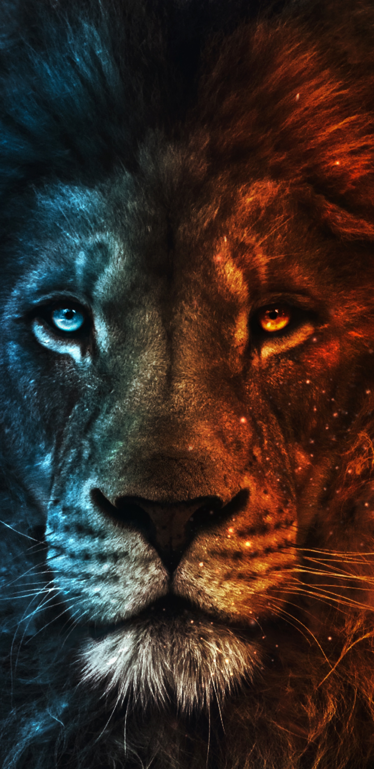 Lion, Felidae, Carnivore, Big Cats, Whiskers. Wallpaper in 1440x2960 Resolution