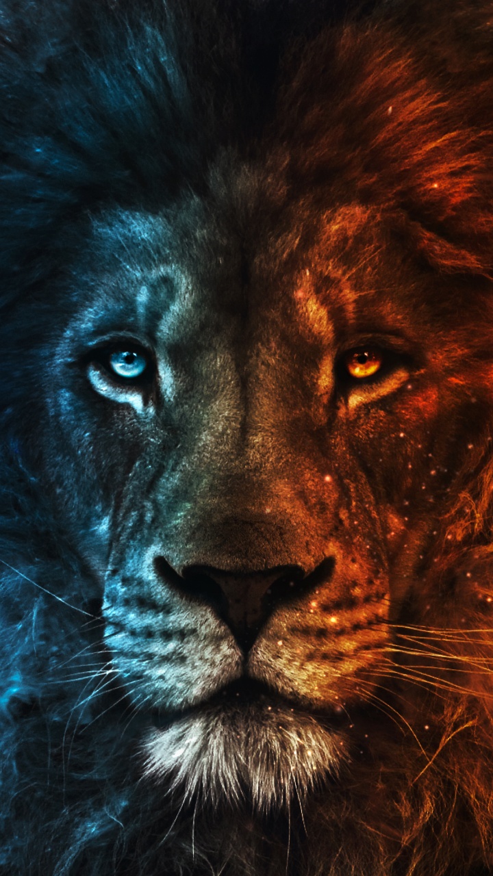Lion, Felidae, Carnivore, Raubkatze, Backenbart. Wallpaper in 720x1280 Resolution
