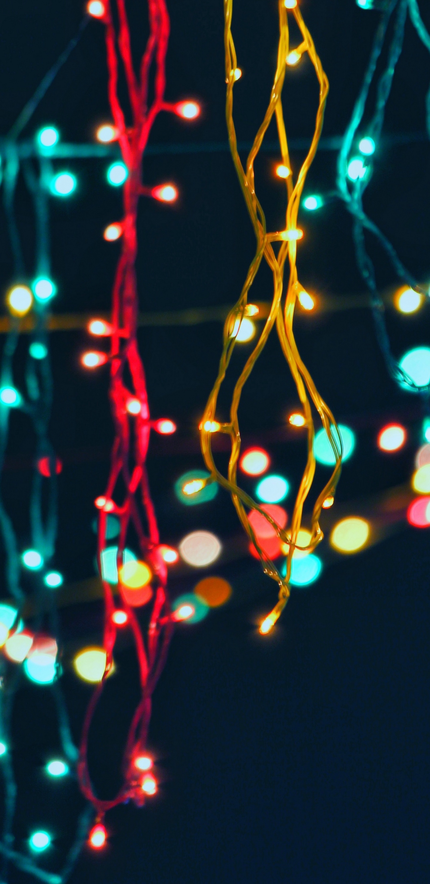 Luces de Navidad, Luz, Decoración de la Navidad, Niños Callejeros, Evento. Wallpaper in 1440x2960 Resolution