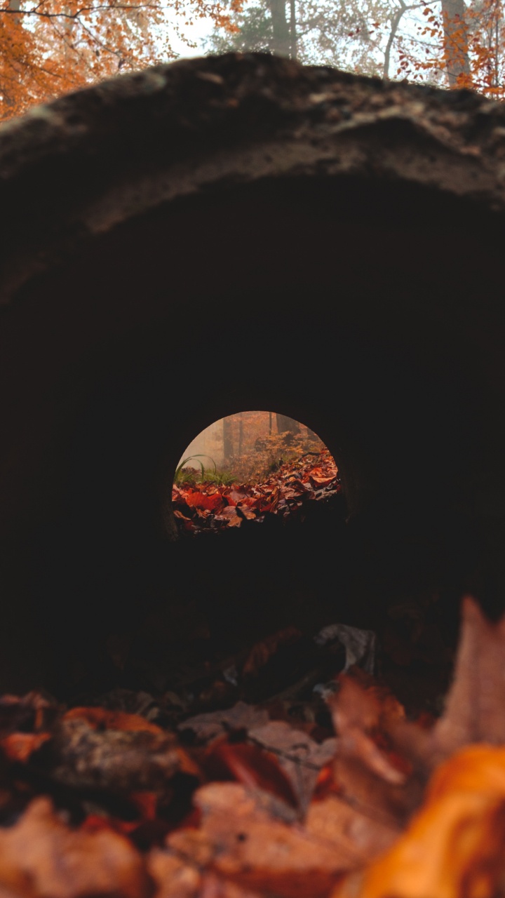 Trou Rond Marron et Noir. Wallpaper in 720x1280 Resolution