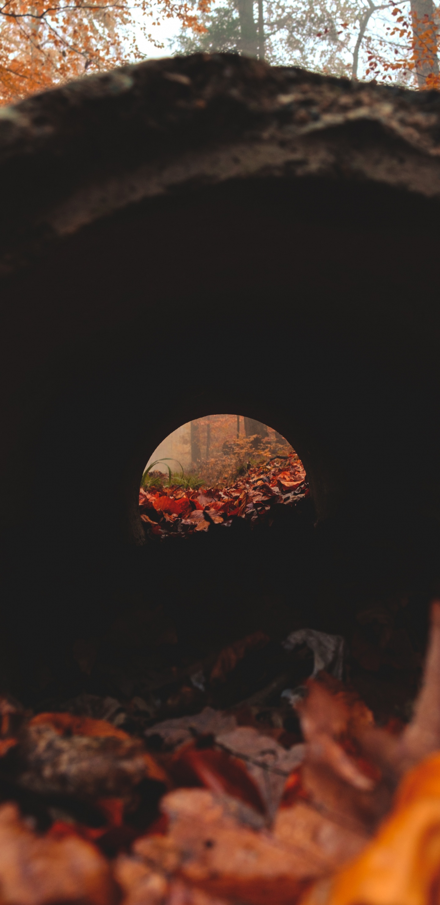 Brown and Black Round Hole. Wallpaper in 1440x2960 Resolution