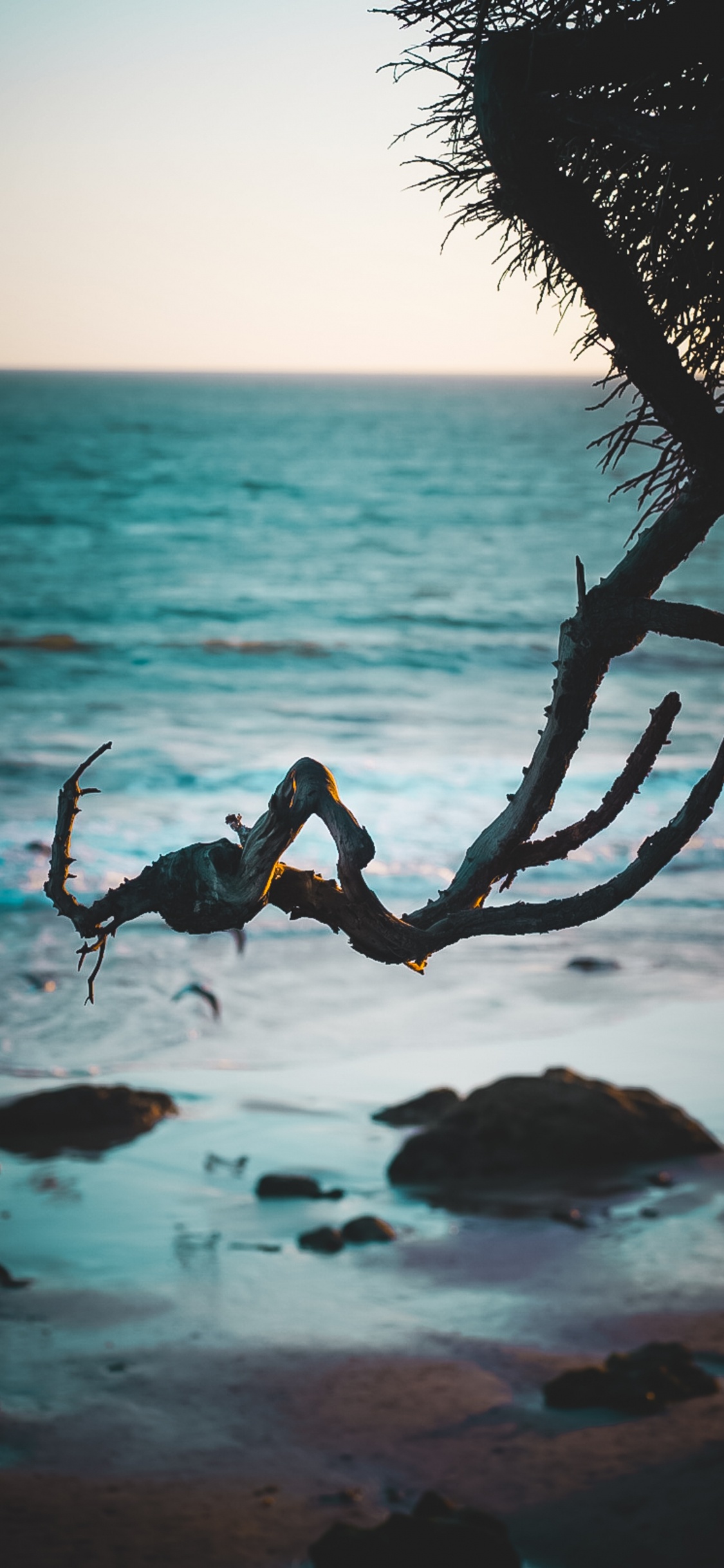 Shore, Ocean, Beach, Malibu, Tropics. Wallpaper in 1125x2436 Resolution