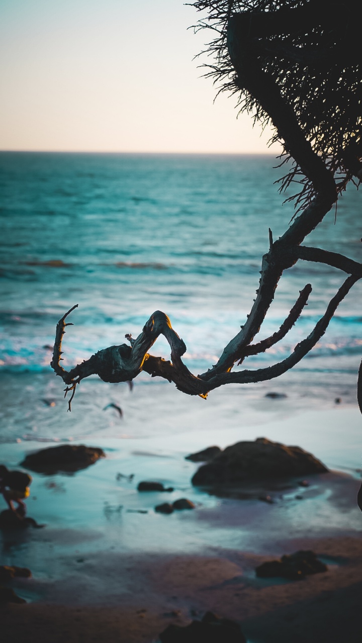 Shore, Ocean, Beach, Malibu, Tropics. Wallpaper in 720x1280 Resolution