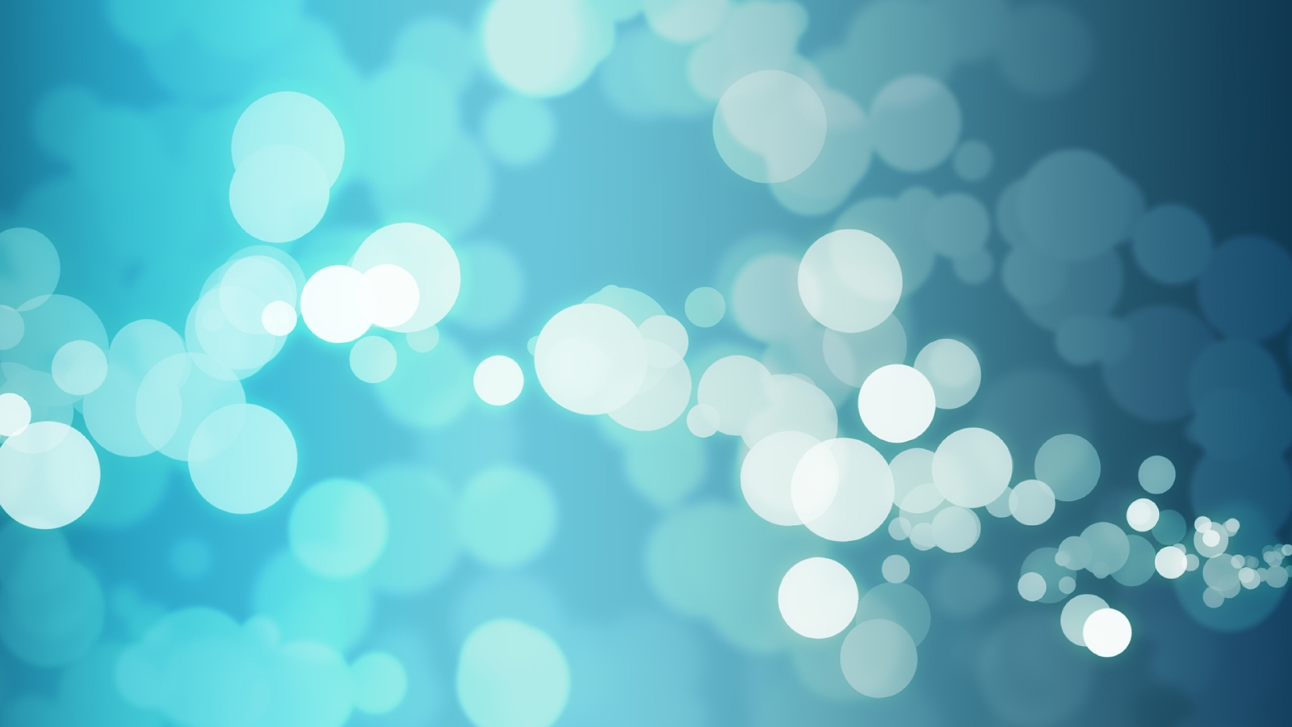 Blaue Und Weiße Bokeh-Lichter. Wallpaper in 2560x1440 Resolution