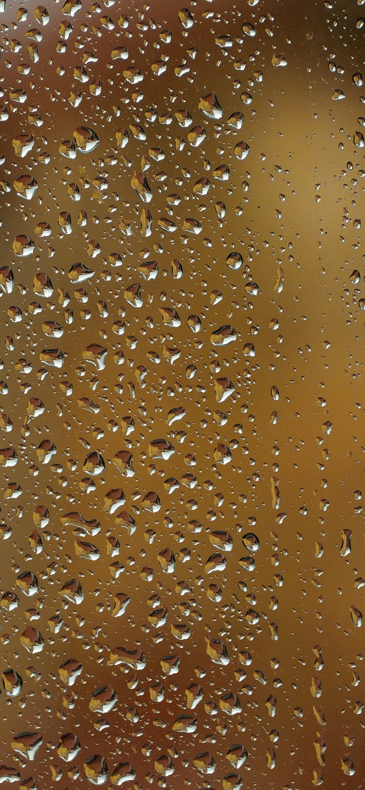 Video, Brown, Caramel Color, Water, Drop. Wallpaper in 1242x2688 Resolution