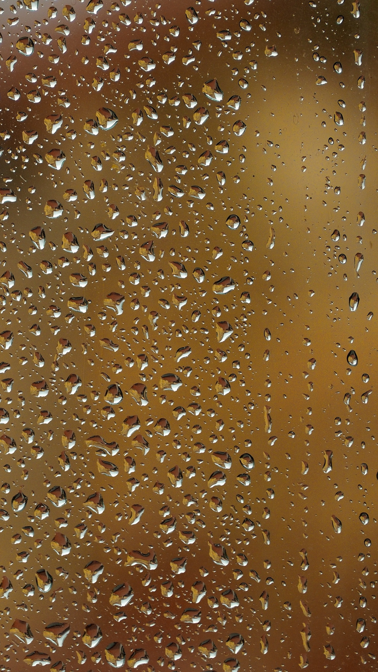 Video, Brown, Caramel Color, Water, Drop. Wallpaper in 1440x2560 Resolution