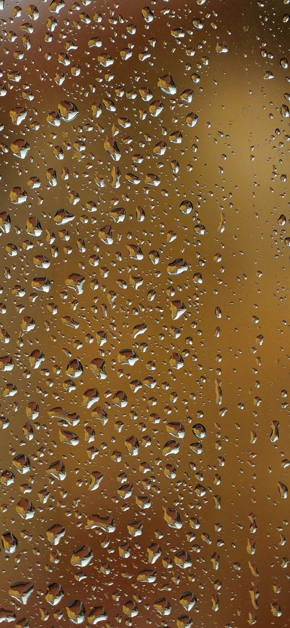 Video, Morena, Color Caramelo, Agua, Humedad. Wallpaper in 1125x2436 Resolution