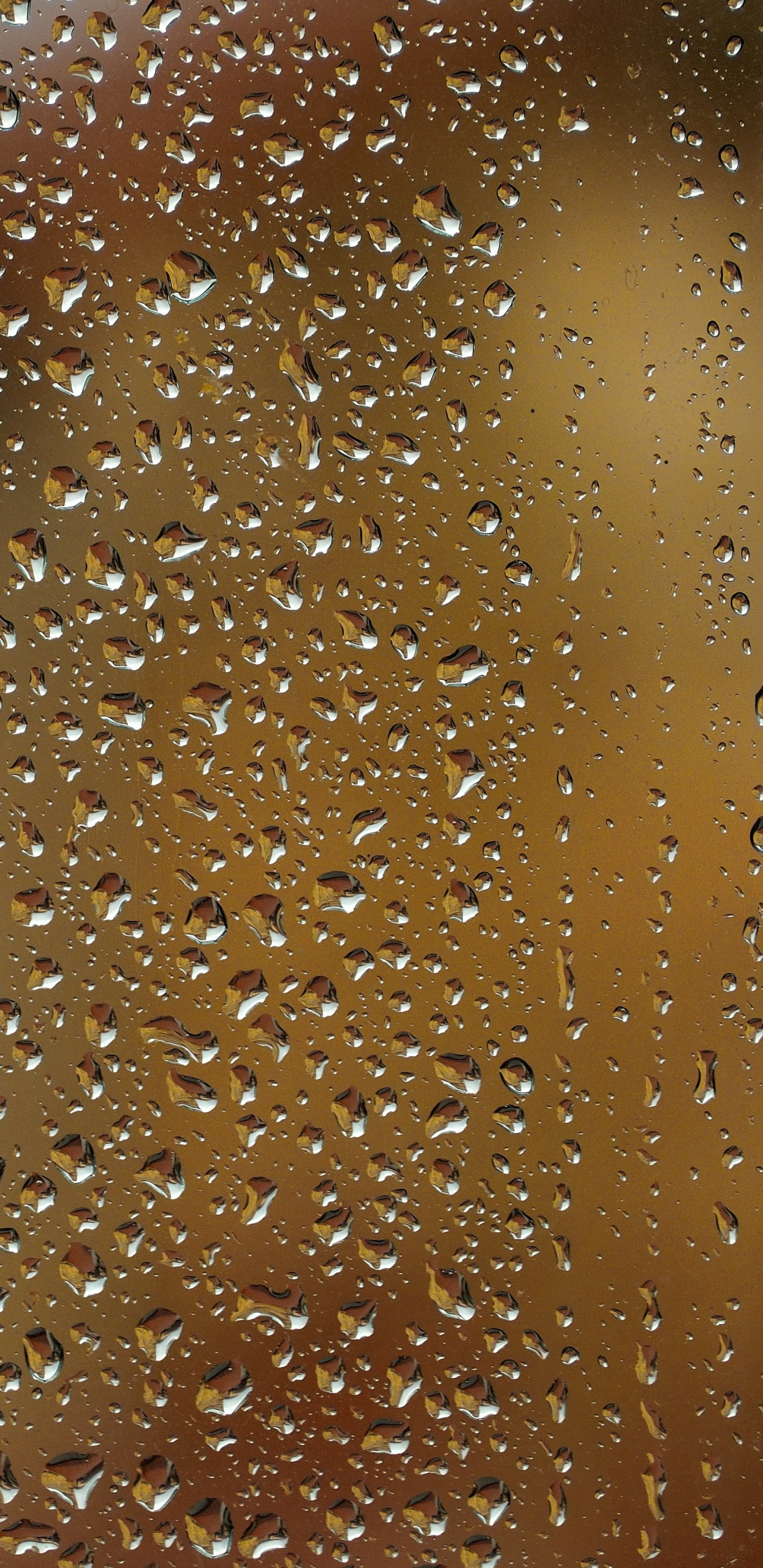 Video, Morena, Color Caramelo, Agua, Humedad. Wallpaper in 1440x2960 Resolution