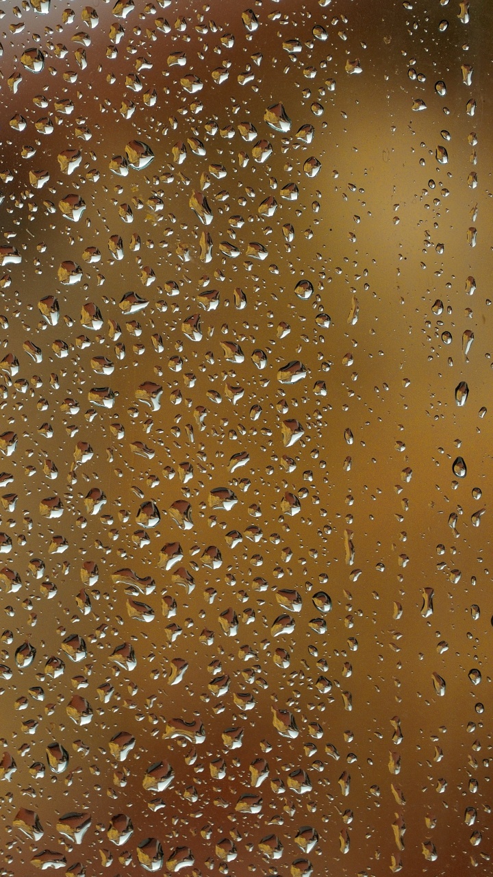 Video, Morena, Color Caramelo, Agua, Humedad. Wallpaper in 720x1280 Resolution