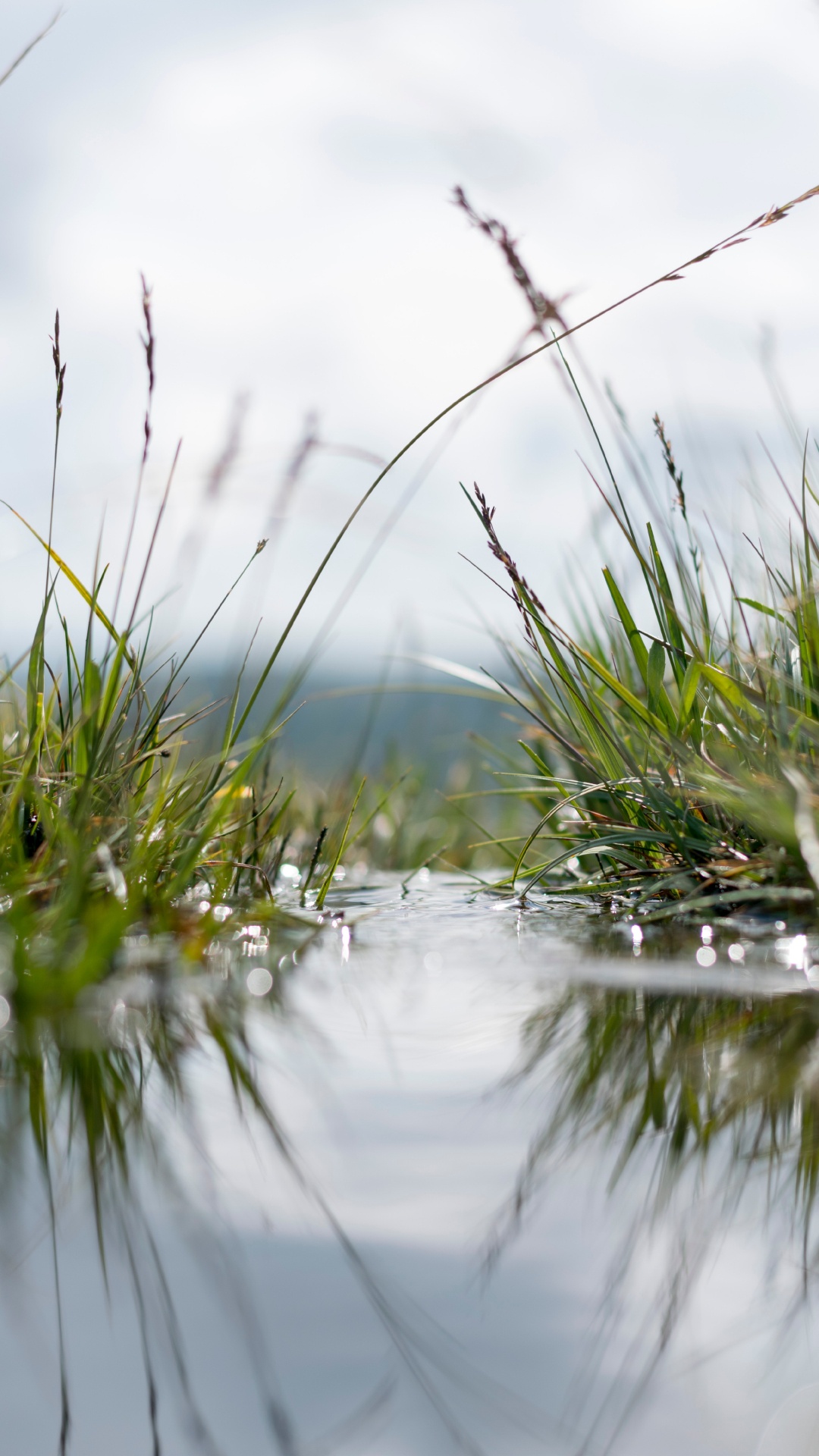 Agua, Naturaleza, Reflexión, Paisaje Natural, Recurso. Wallpaper in 1080x1920 Resolution