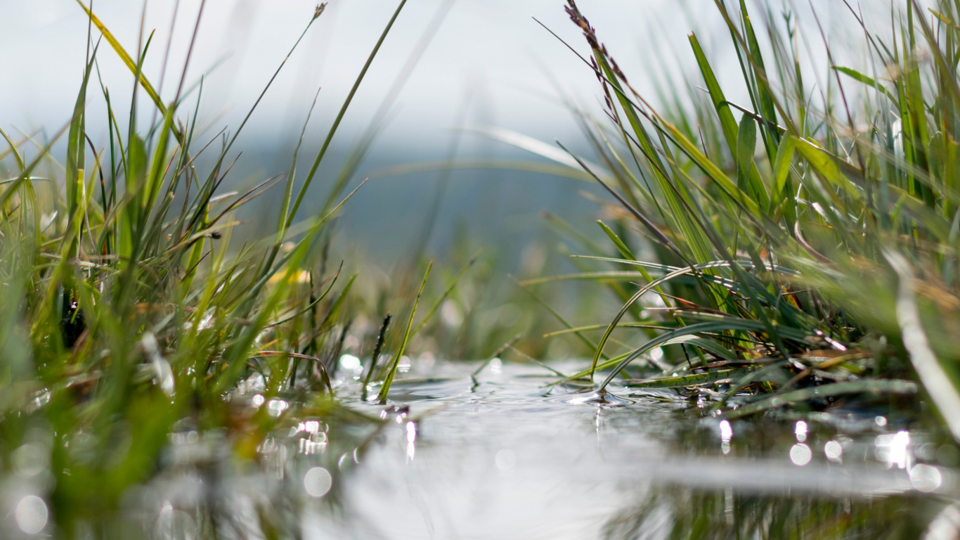Download 1366x768 Wallpaper Water, Nature, Grass, Reflection, Natural Landscape Water, Nature, Grass, Reflection, Natural Landscape. Wallpaper in 1366x768 Resolution
