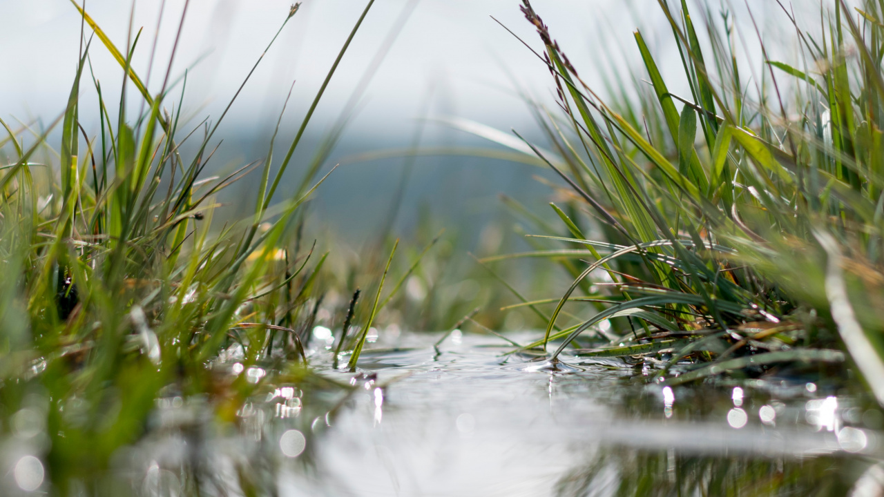 Eau, Nature, Réflexion, Paysage Naturel, Tourbière. Wallpaper in 1280x720 Resolution