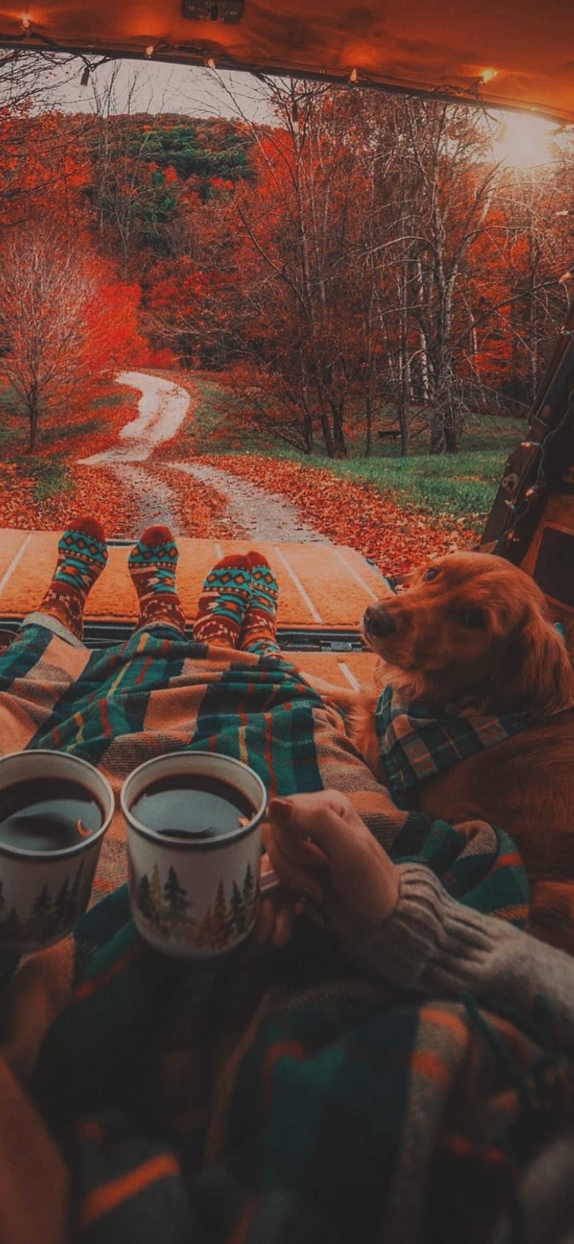 Camping Couple Dog, Camping, Drinkware, Plant, Tableware. Wallpaper in 1125x2436 Resolution