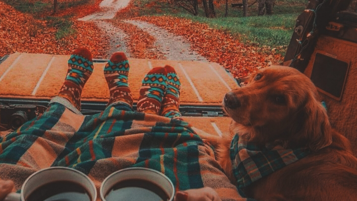 Camping Couple Dog, Camping, Drinkware, Plant, Tableware. Wallpaper in 1366x768 Resolution