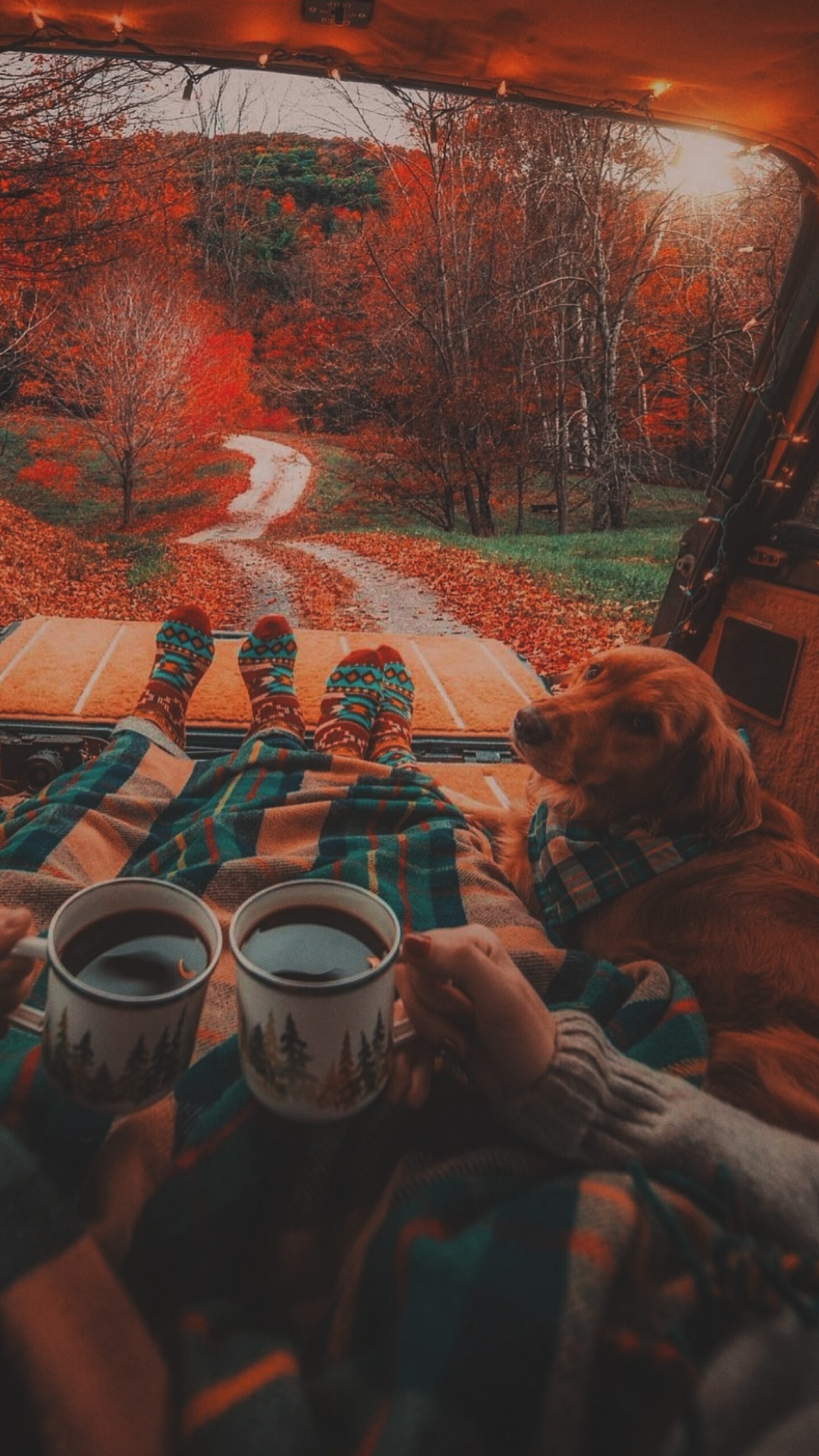 Camping-Paar Mit Hund, Drinkware, Tafelgeschirr, Orange, Cup. Wallpaper in 1080x1920 Resolution