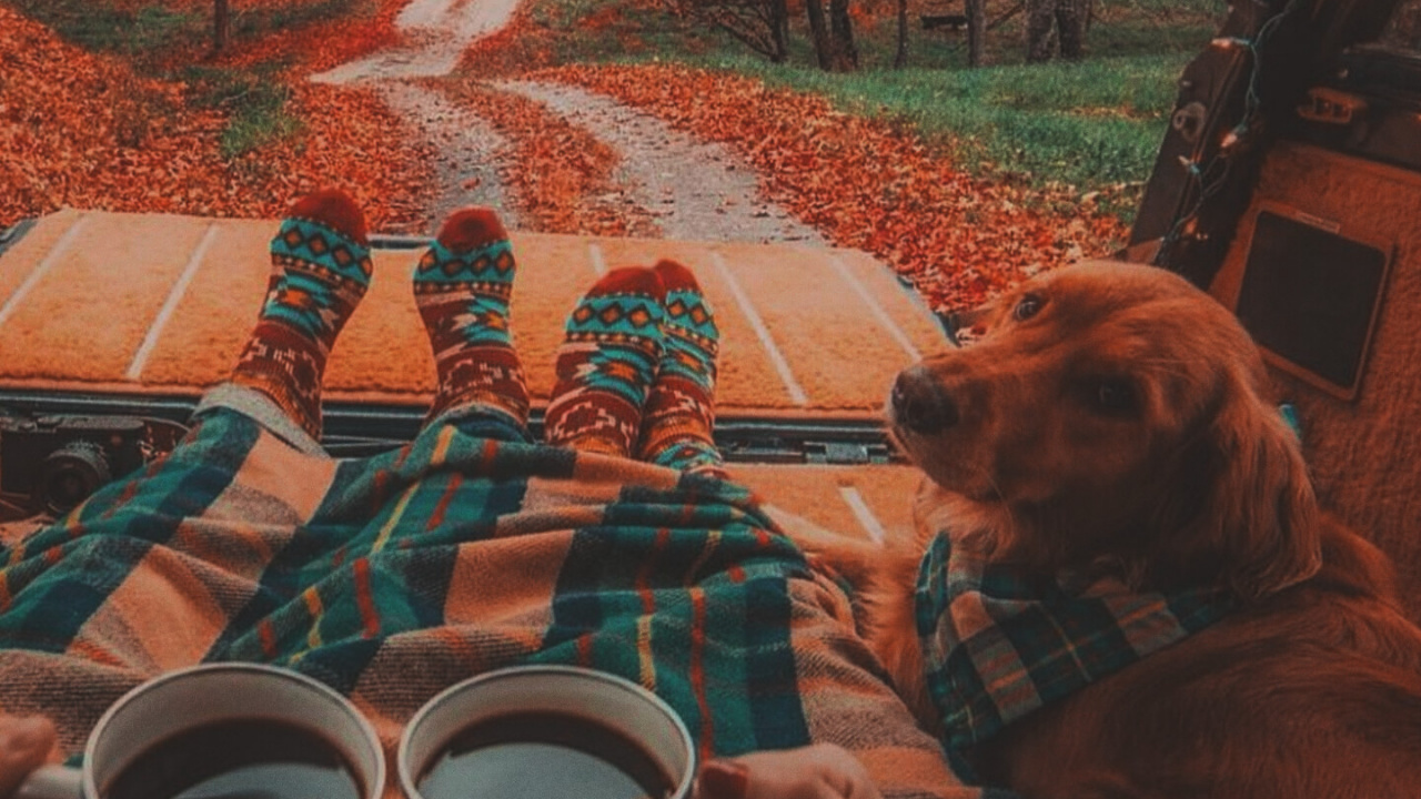 Camping-Paar Mit Hund, Drinkware, Tafelgeschirr, Orange, Cup. Wallpaper in 1280x720 Resolution