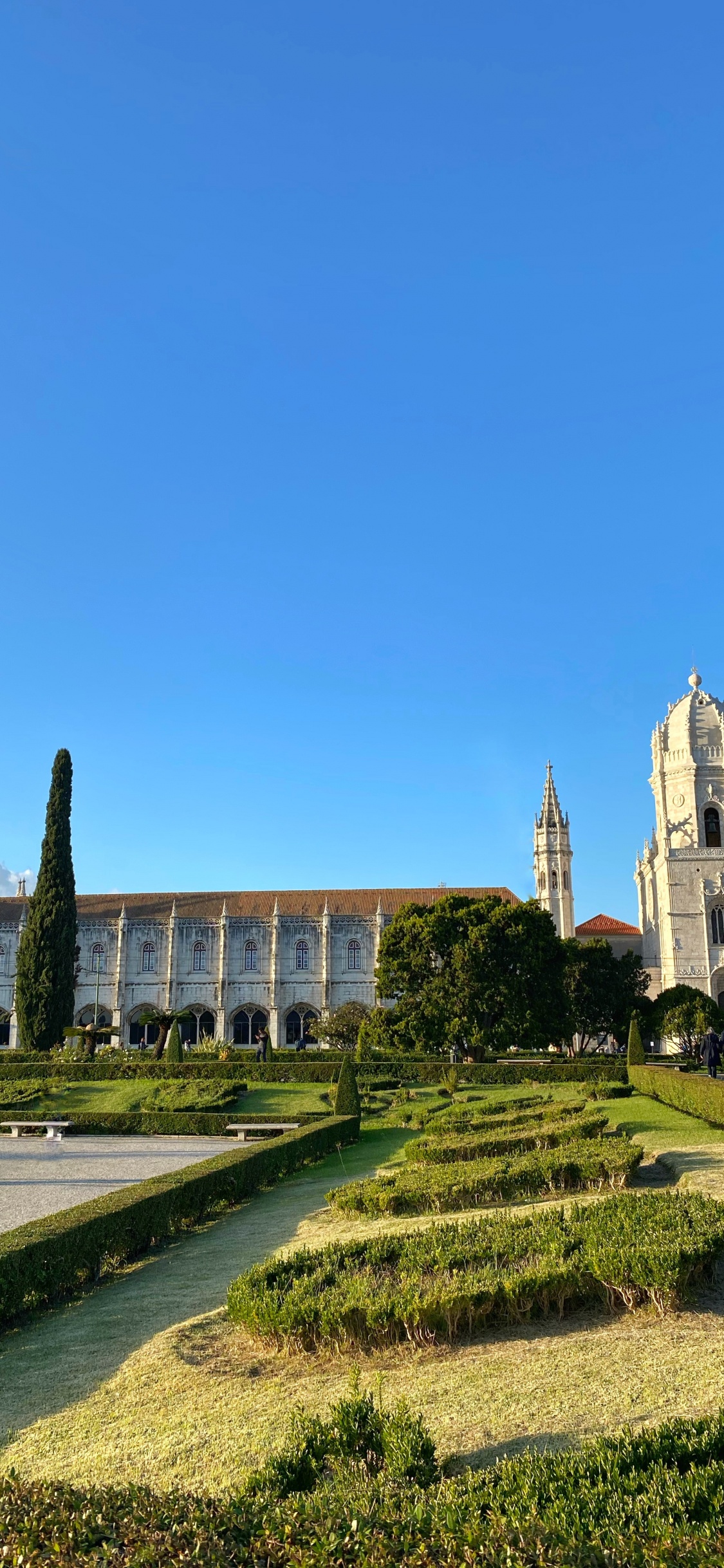 Plant, Garden, Shrub, Hedge, Estate. Wallpaper in 1125x2436 Resolution