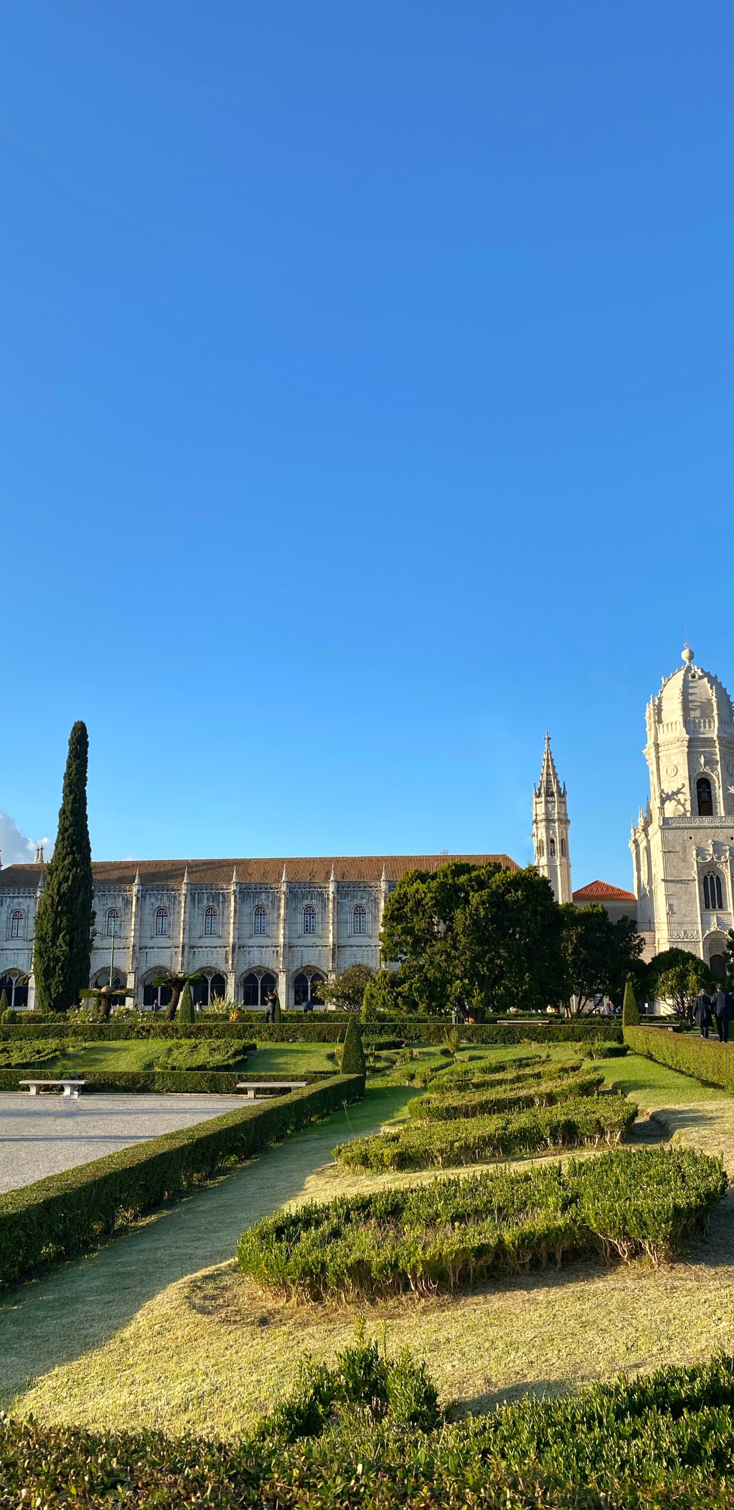 Plant, Garden, Shrub, Hedge, Estate. Wallpaper in 1440x2960 Resolution