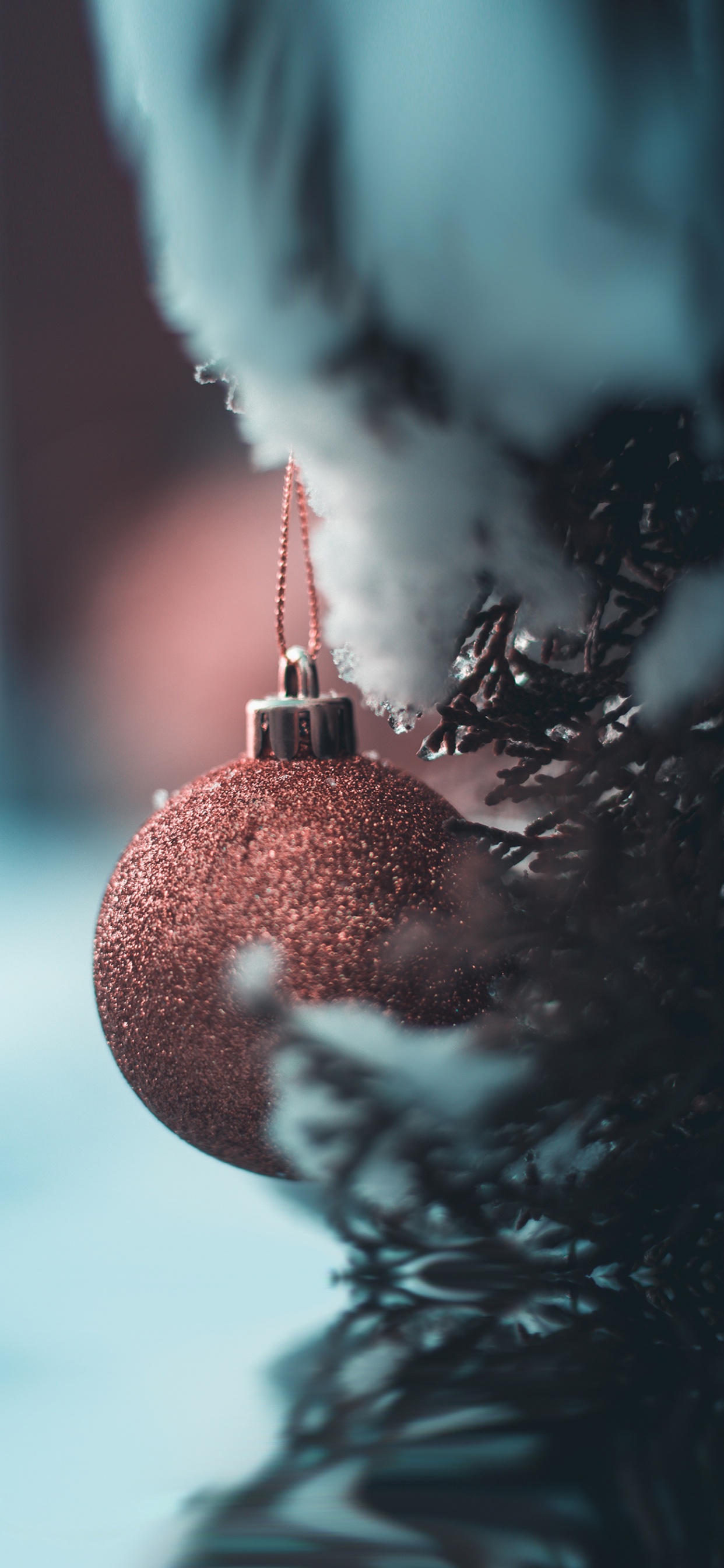 Christmas, Ios, Christmas Ornament, Branch, Plant. Wallpaper in 1242x2688 Resolution
