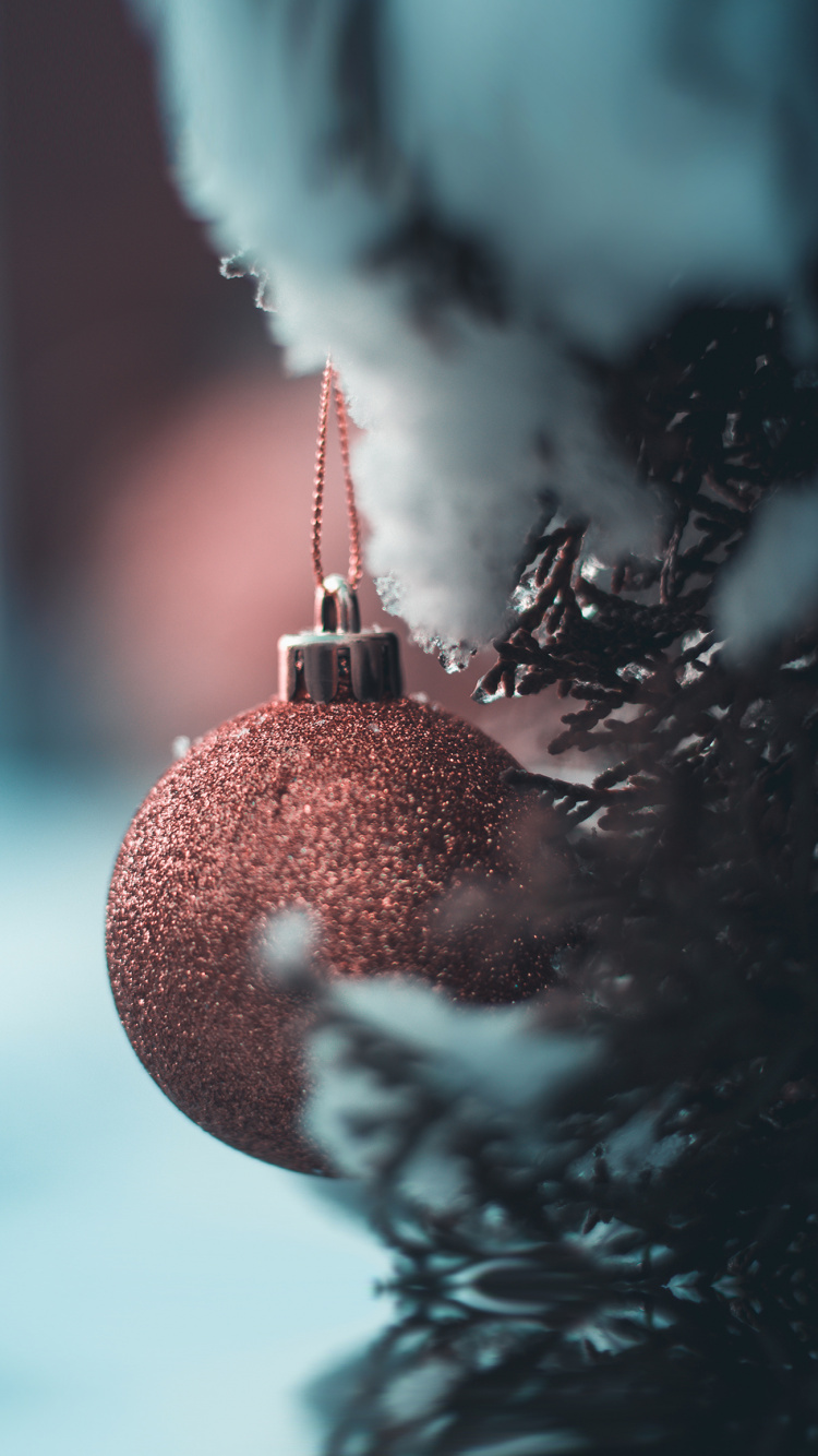 Christmas, Ios, Christmas Ornament, Branch, Plant. Wallpaper in 750x1334 Resolution