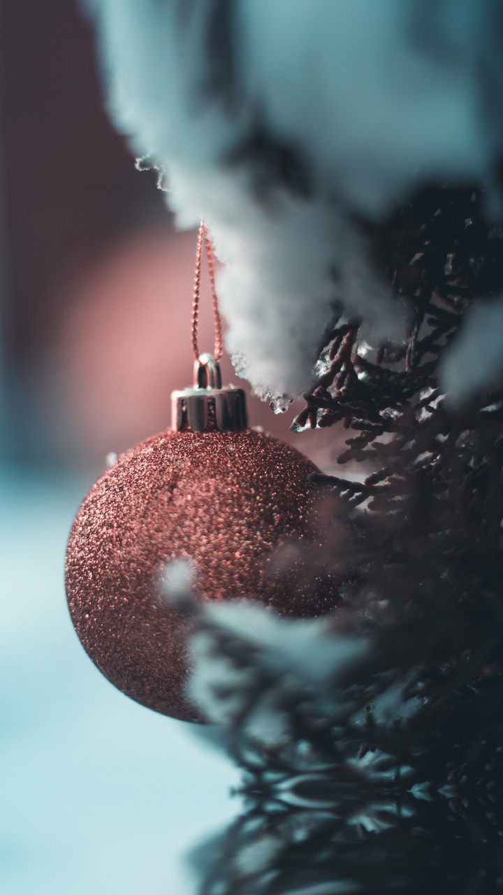 Navidad, Ios, Adorno de Navidad, Sucursal, Ramita. Wallpaper in 720x1280 Resolution