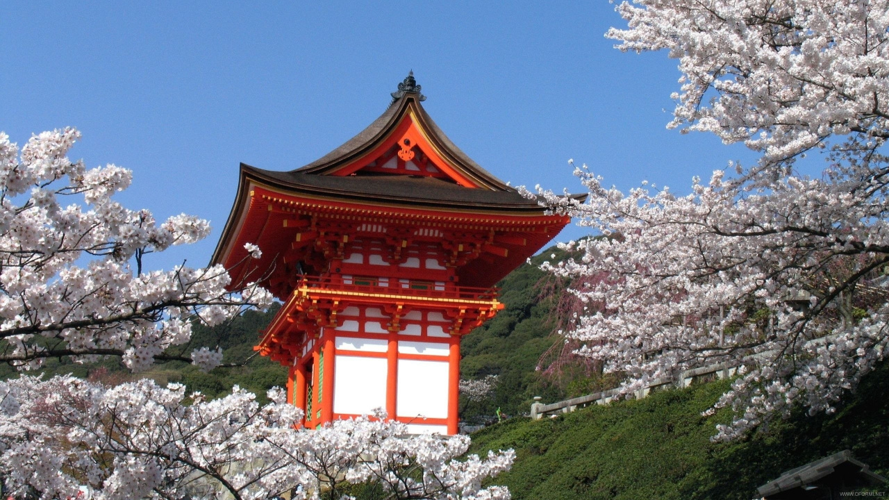 Brown Wooden Temple on Top of Mountain. Wallpaper in 1280x720 Resolution