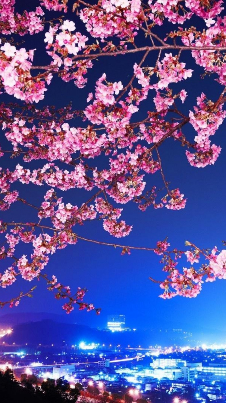 Pink Cherry Blossom Tree During Night Time. Wallpaper in 750x1334 Resolution