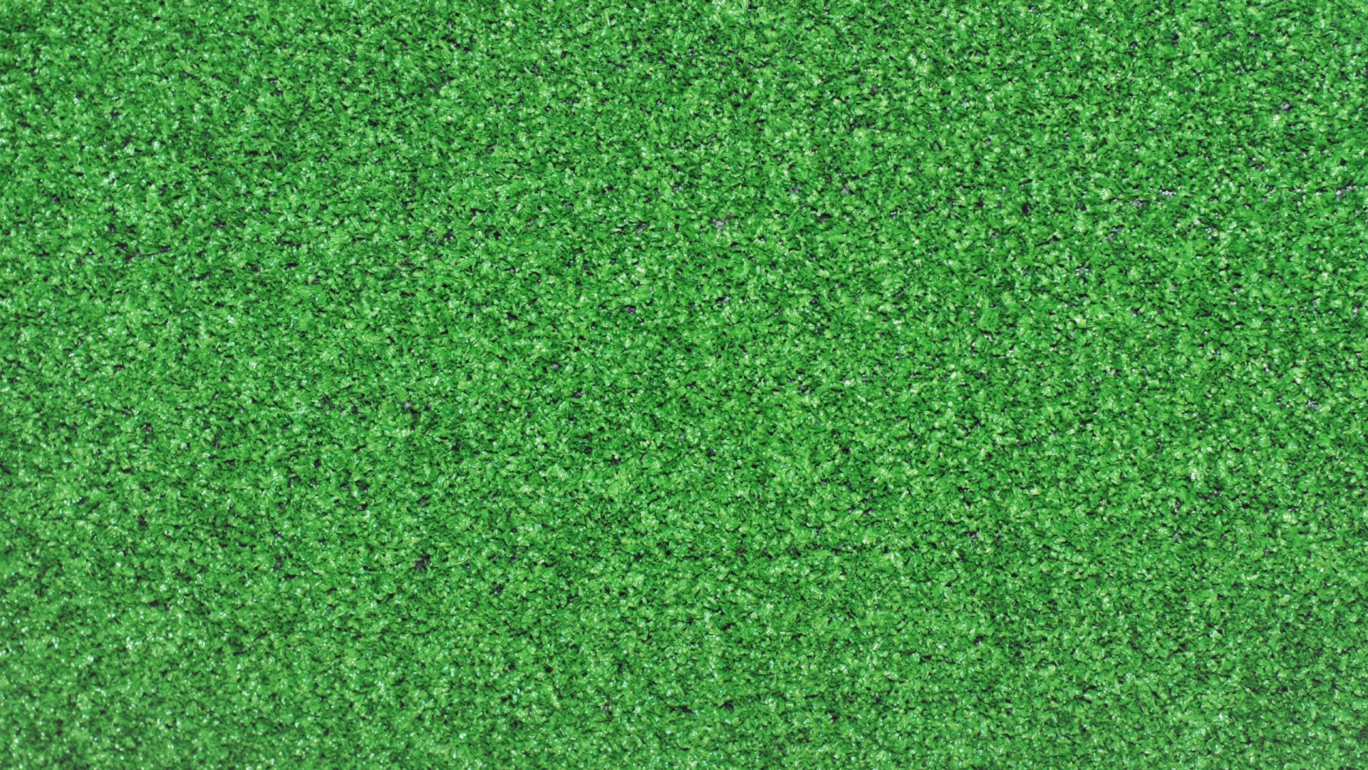 Green Grass Field During Daytime. Wallpaper in 1920x1080 Resolution