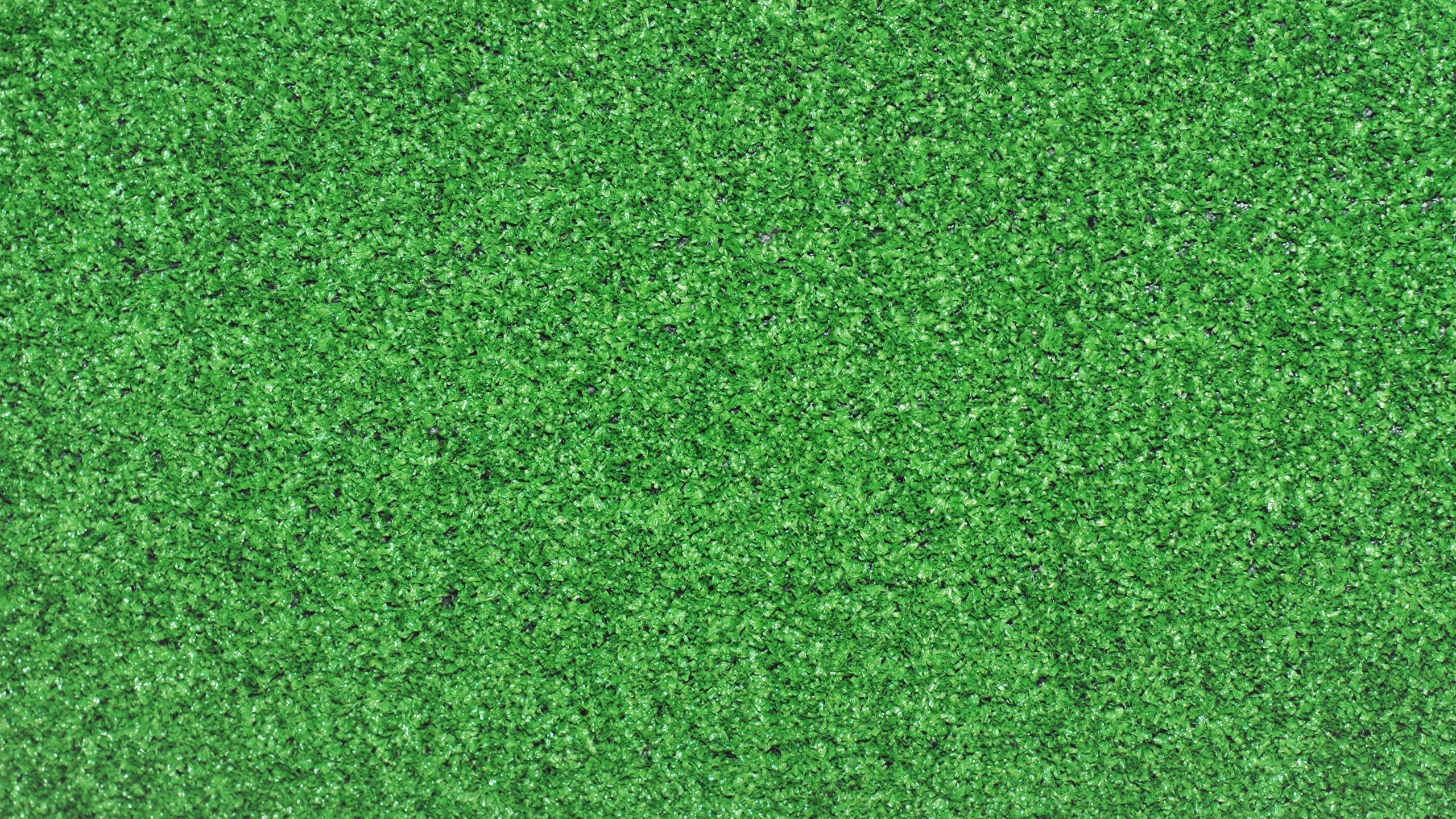 Green Grass Field During Daytime. Wallpaper in 2560x1440 Resolution