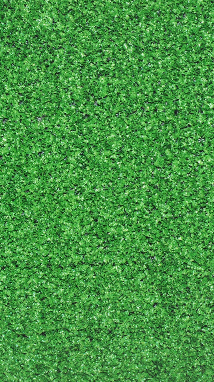 Green Grass Field During Daytime. Wallpaper in 750x1334 Resolution