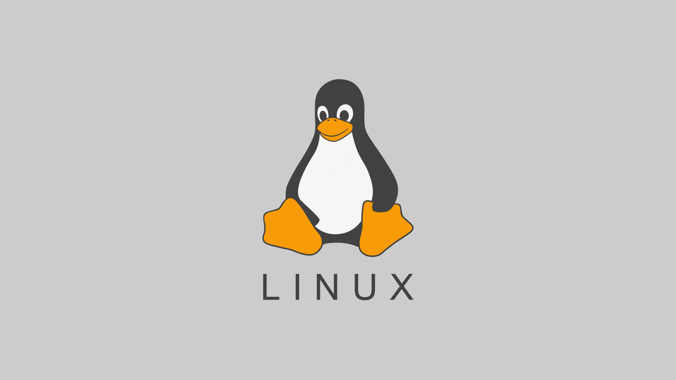 Linux, 晚礼服, Ubuntu, 不会飞的鸟, 鸟 壁纸 2560x1440 允许