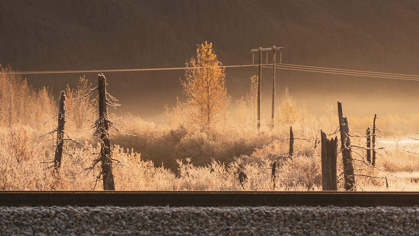 Morgen, Atmosphäre, Sonnenlicht, Baum, Abend. Wallpaper in 1366x768 Resolution