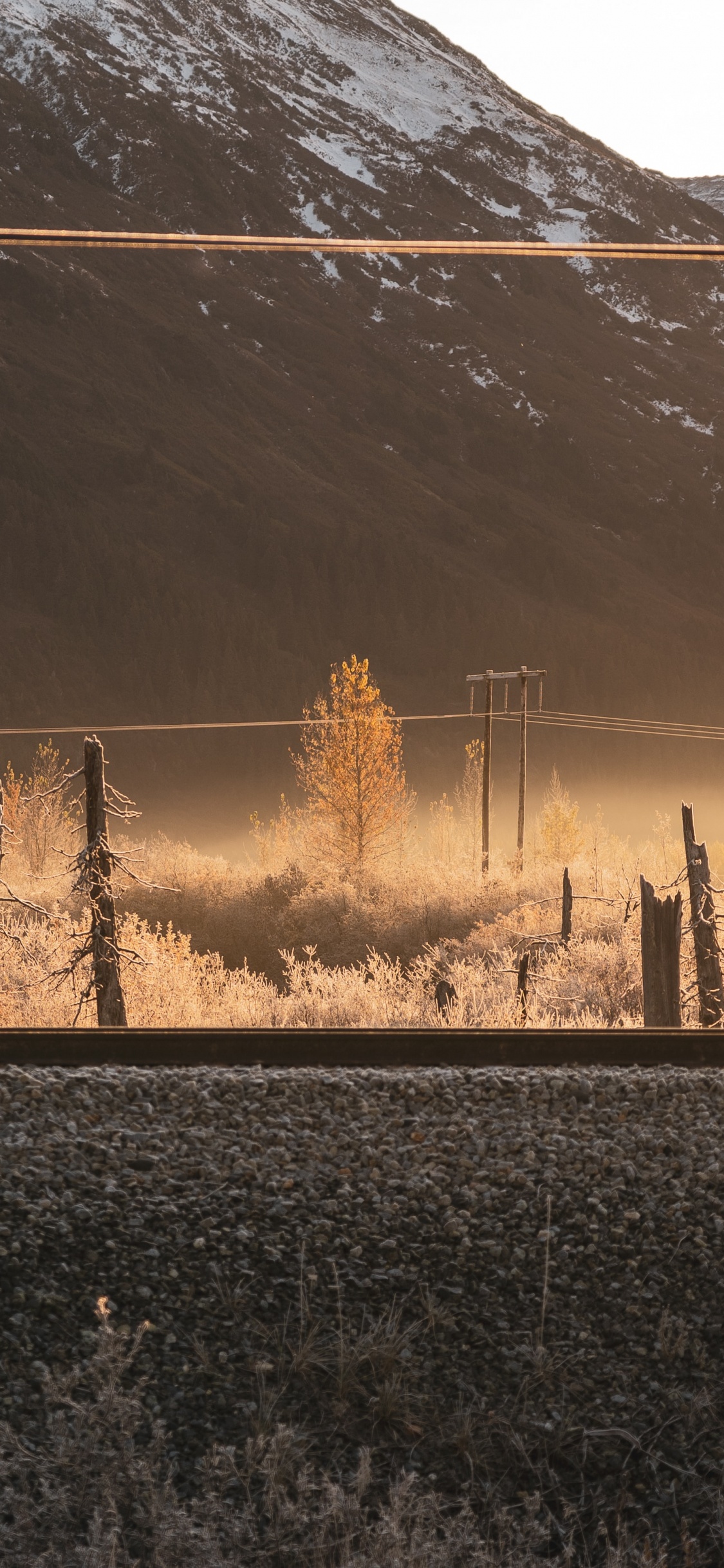 Morning, Atmosphere, Sunlight, Tree, Evening. Wallpaper in 1125x2436 Resolution