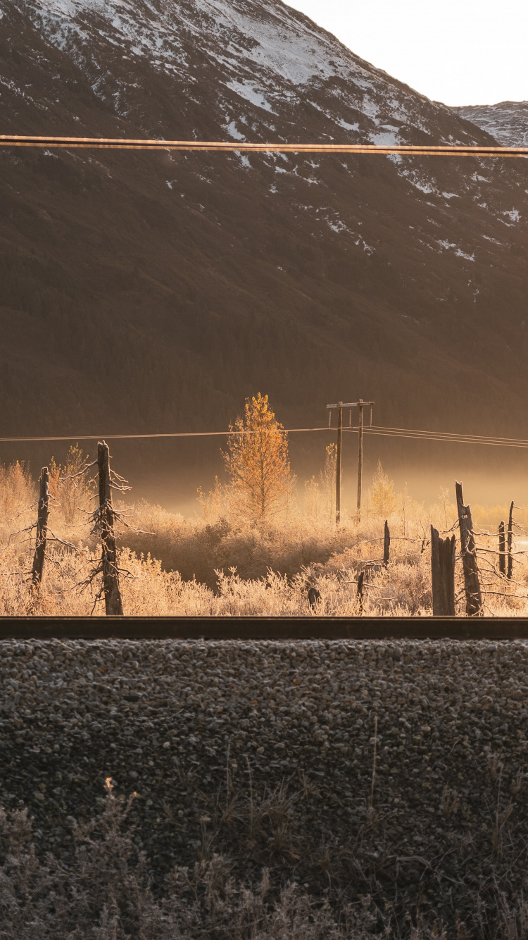 Morning, Atmosphere, Sunlight, Tree, Evening. Wallpaper in 750x1334 Resolution