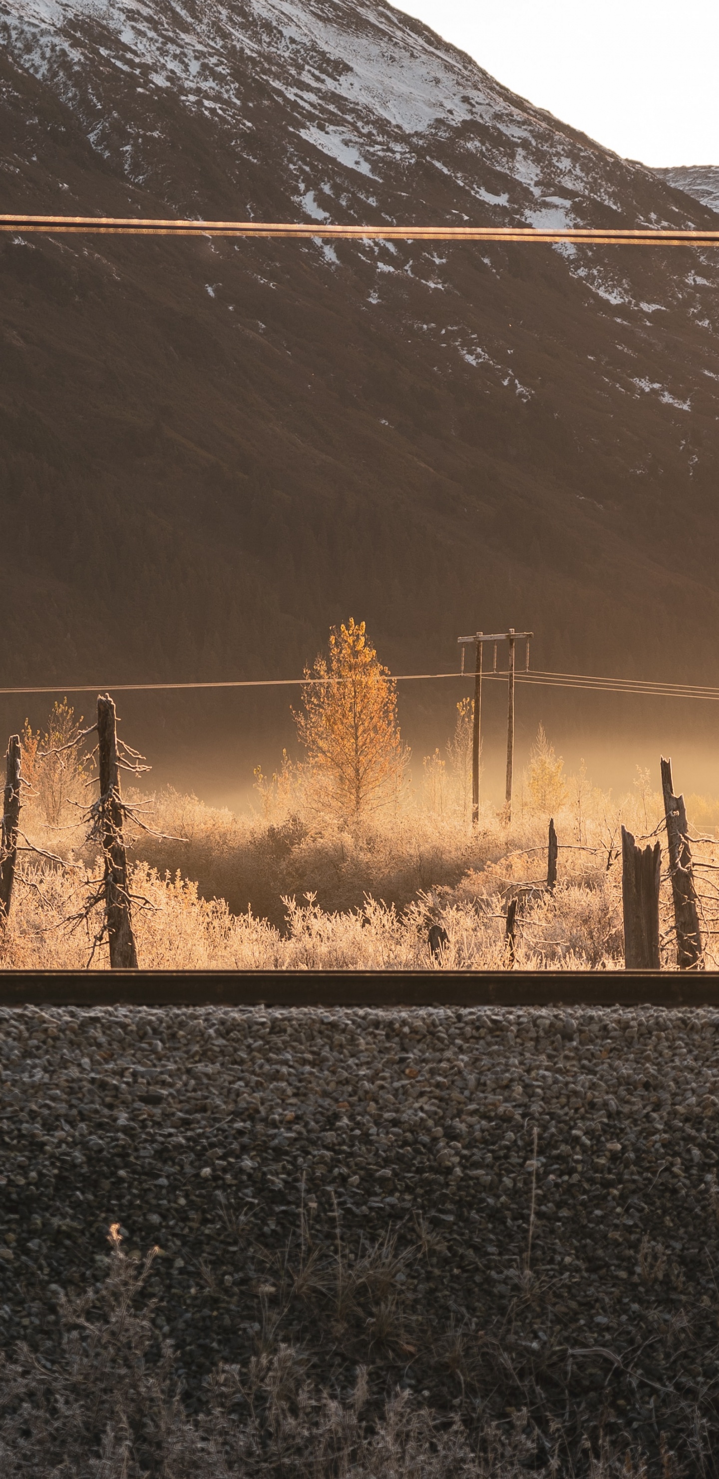 Matin, Atmosphère, Soir, Ciel, M-arbre. Wallpaper in 1440x2960 Resolution