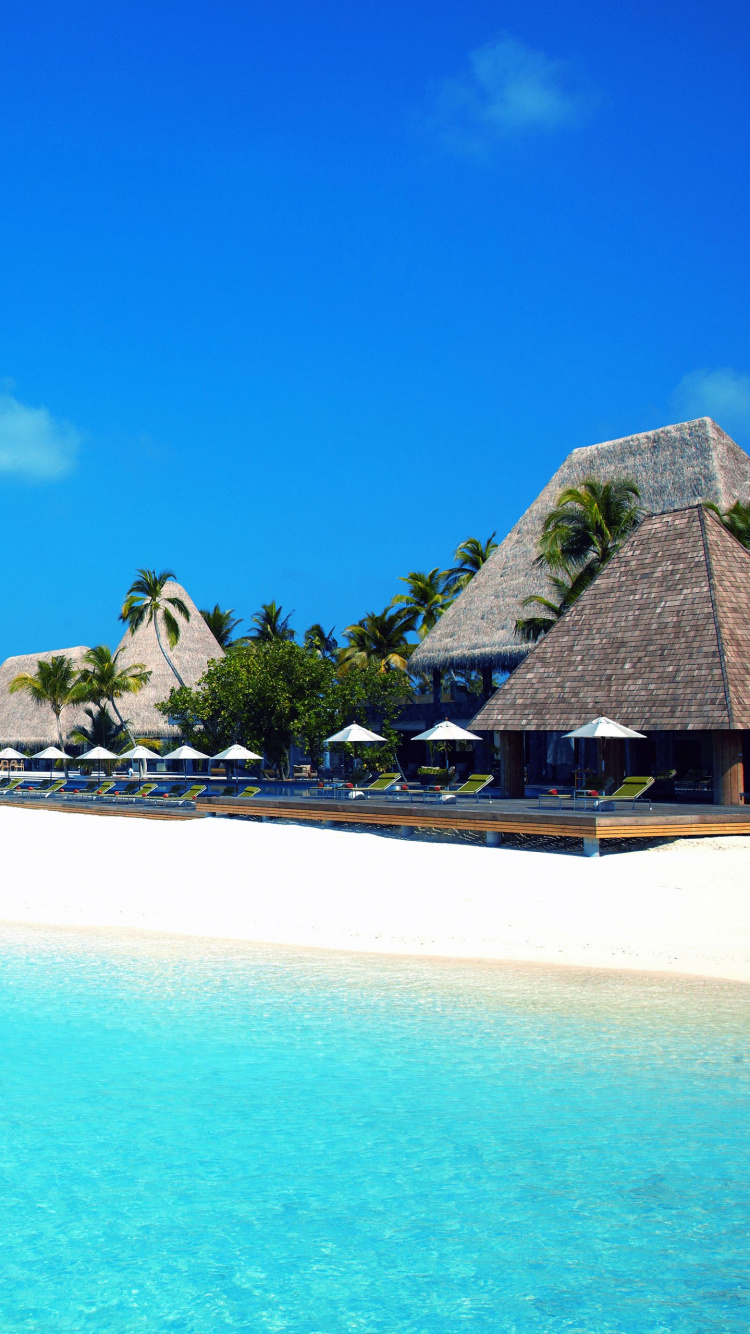 Braune Und Grüne Insel Auf Blauem Meer Unter Blauem Himmel Tagsüber. Wallpaper in 750x1334 Resolution