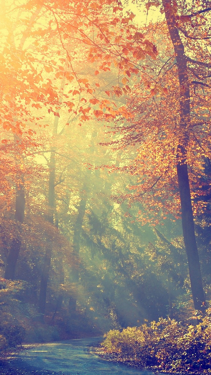 Atmosphere, Ecoregion, People in Nature, Nature, Natural Landscape. Wallpaper in 720x1280 Resolution