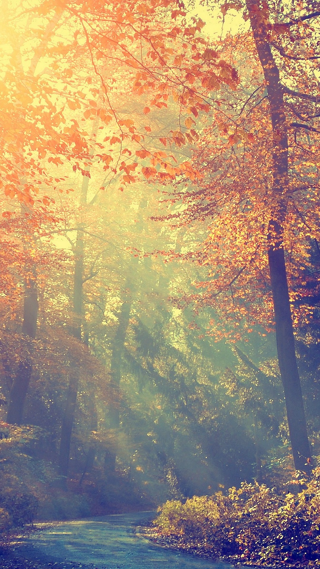 Atmosphère, L'écorégion, Les Gens Dans la Nature, Nature, Paysage Naturel. Wallpaper in 1080x1920 Resolution