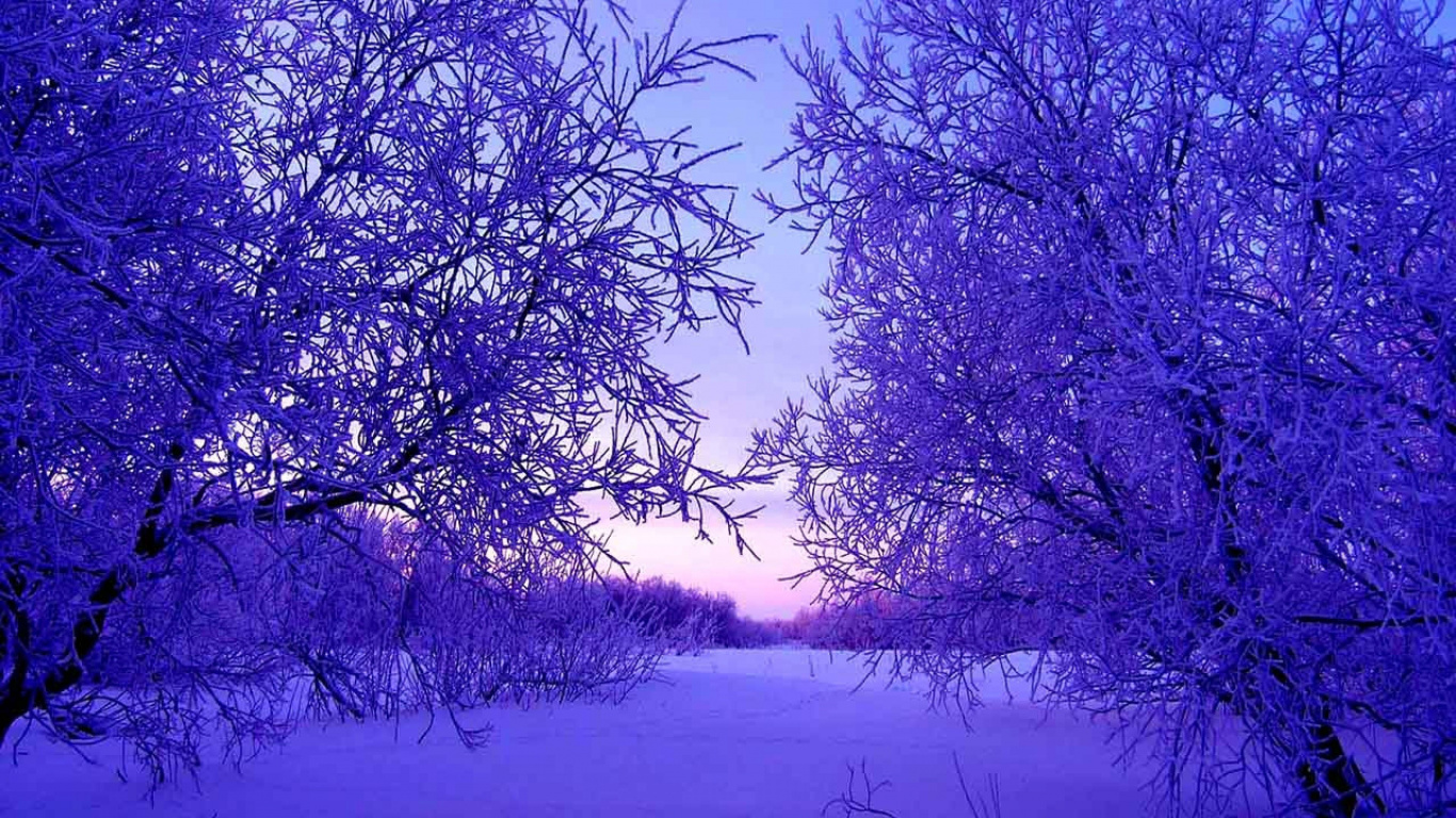 冬天, 性质, 紫色的, 冻结, 天空 壁纸 1366x768 允许