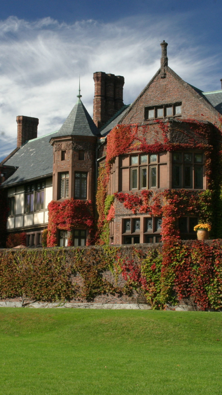 Braunes Und Schwarzes Betonhaus Unter Blauem Himmel Tagsüber. Wallpaper in 750x1334 Resolution