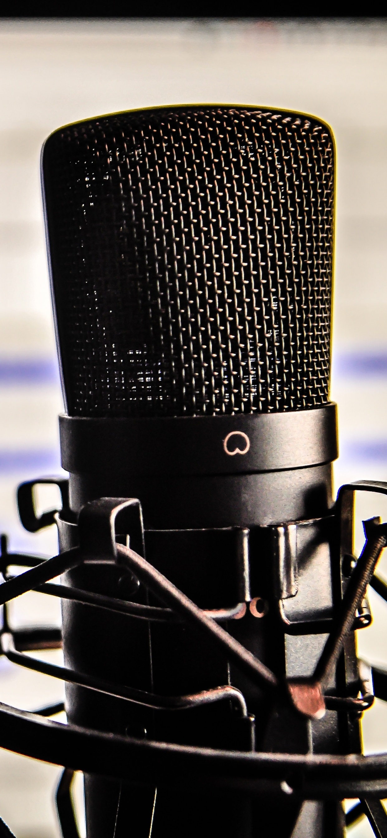 Microphone, Audio Equipment, Recording Studio, Electronic Device, Technology. Wallpaper in 1242x2688 Resolution
