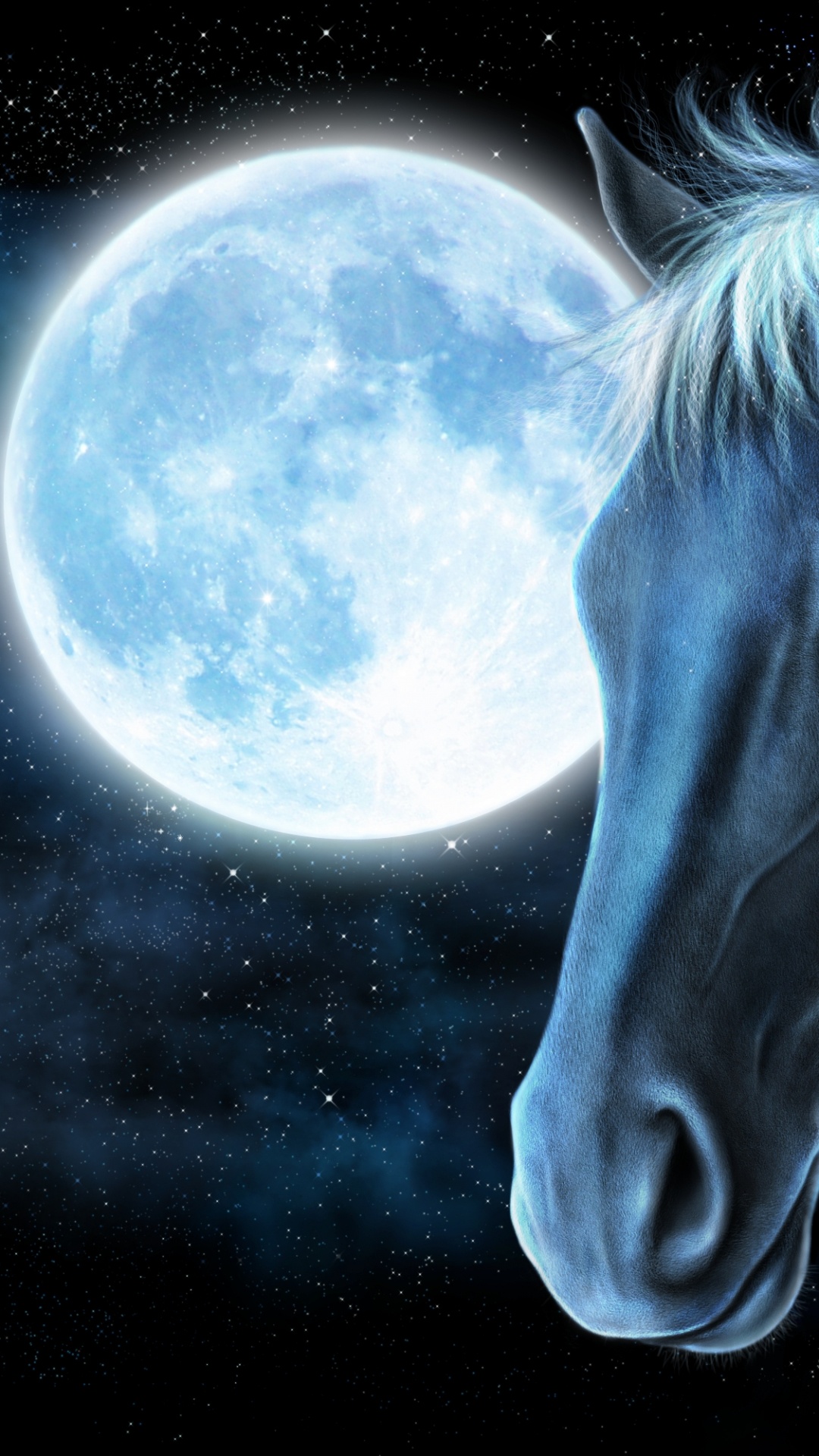 White Horse Head With Moon Background. Wallpaper in 1080x1920 Resolution