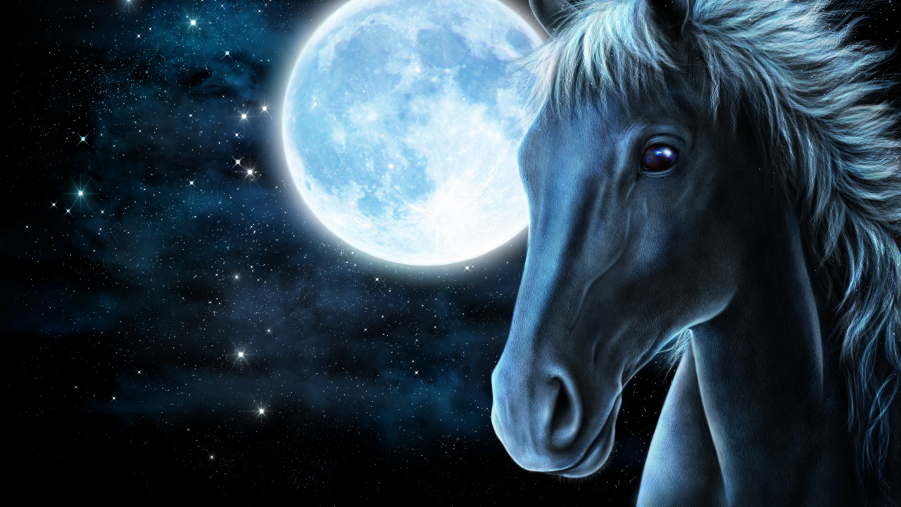 White Horse Head With Moon Background. Wallpaper in 1280x720 Resolution