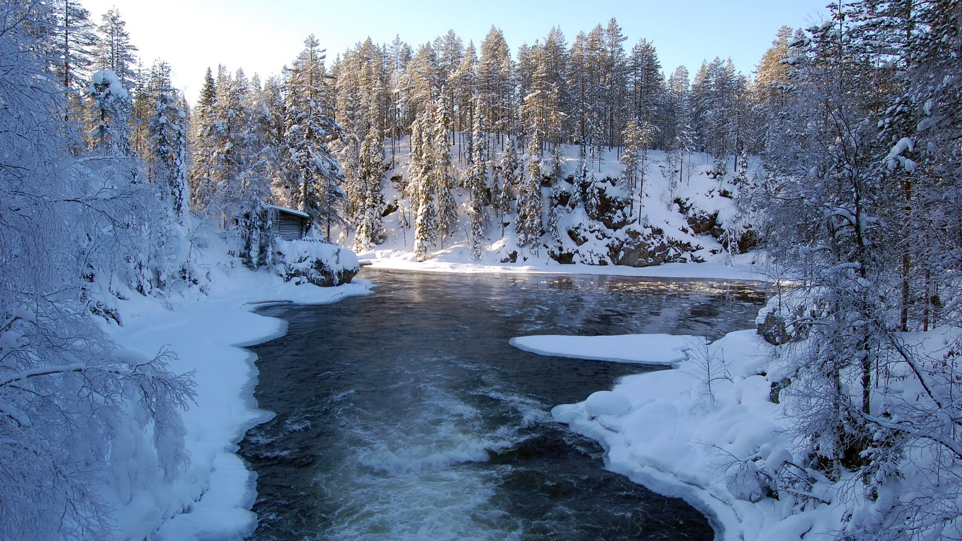Arbres Couverts de Neige et Rivière Pendant la Journée. Wallpaper in 1920x1080 Resolution