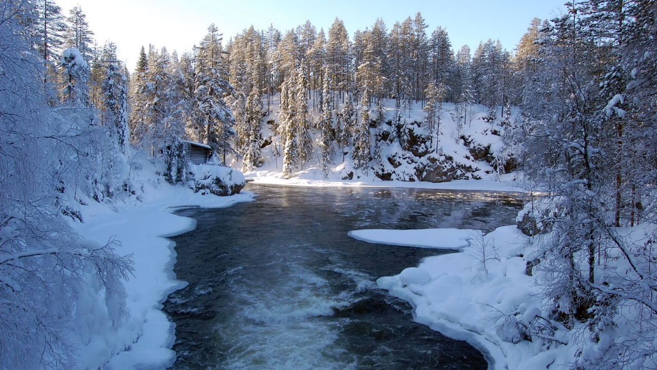 Schneebedeckte Bäume Und Fluss Tagsüber. Wallpaper in 1280x720 Resolution
