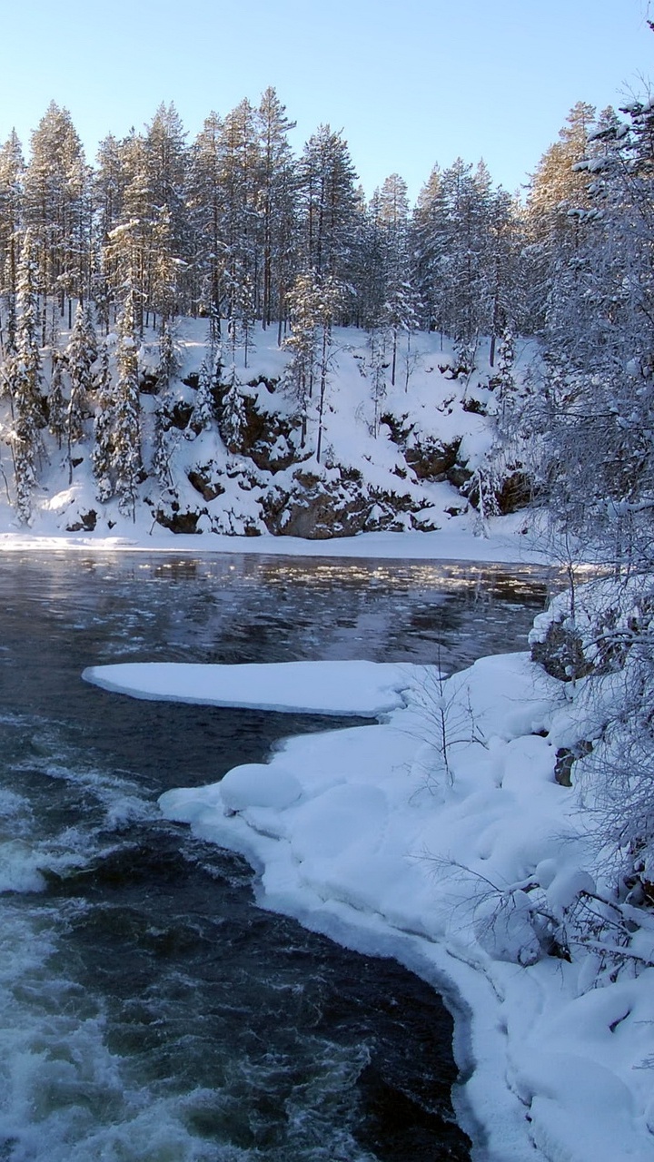 Schneebedeckte Bäume Und Fluss Tagsüber. Wallpaper in 720x1280 Resolution