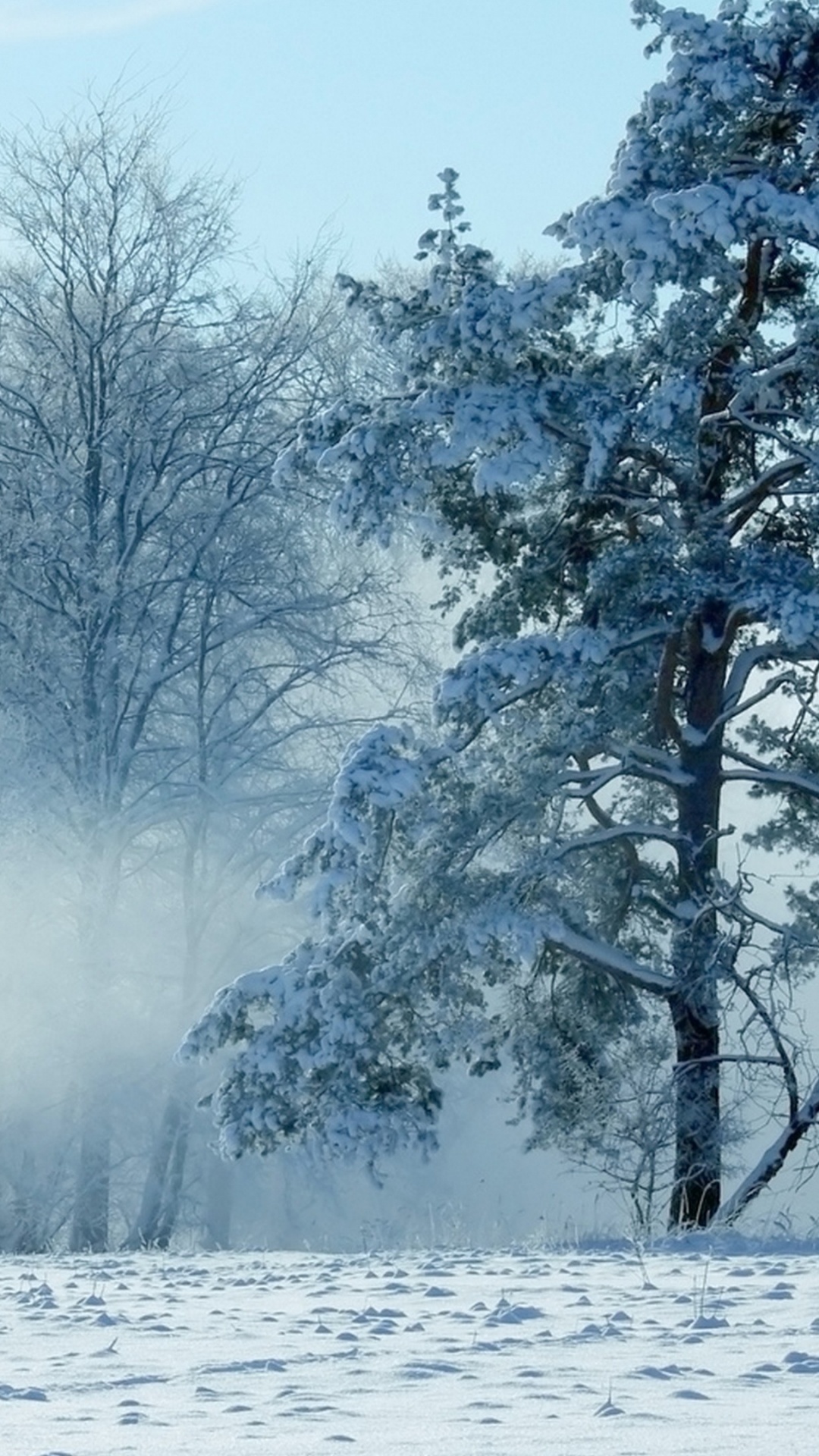 Schneebedeckte Bäume Tagsüber. Wallpaper in 1080x1920 Resolution